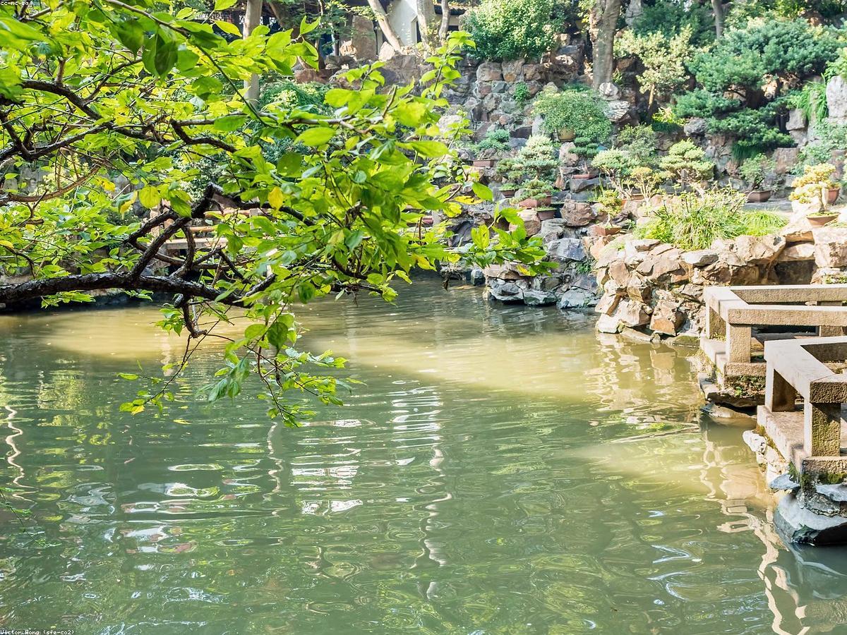 Pergolado de madeira em jardim